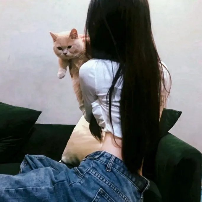 超级救援狗